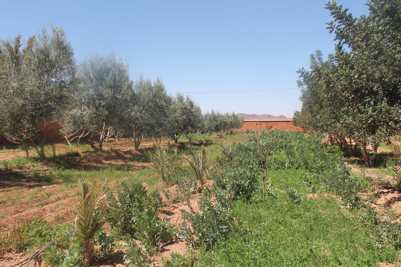 Dar Alfourssane Ferme D'Hote Ouarzazate Esterno foto