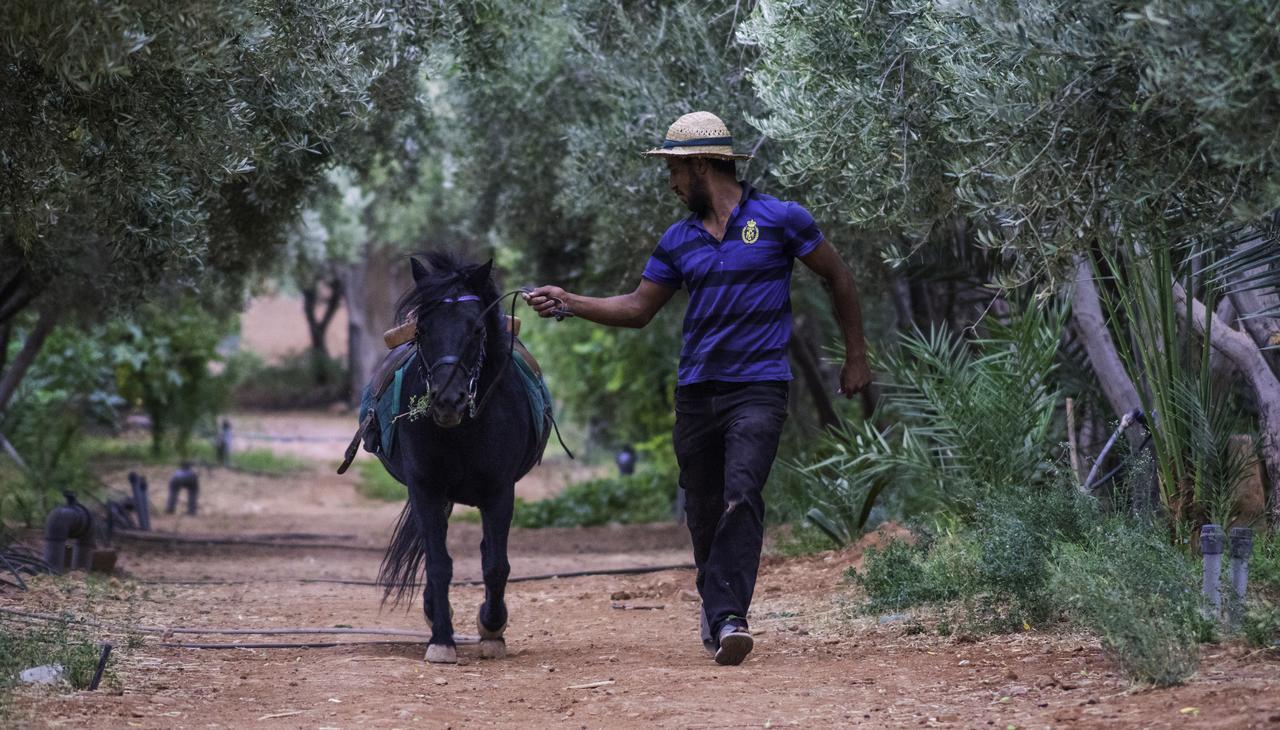 Dar Alfourssane Ferme D'Hote Ouarzazate Esterno foto