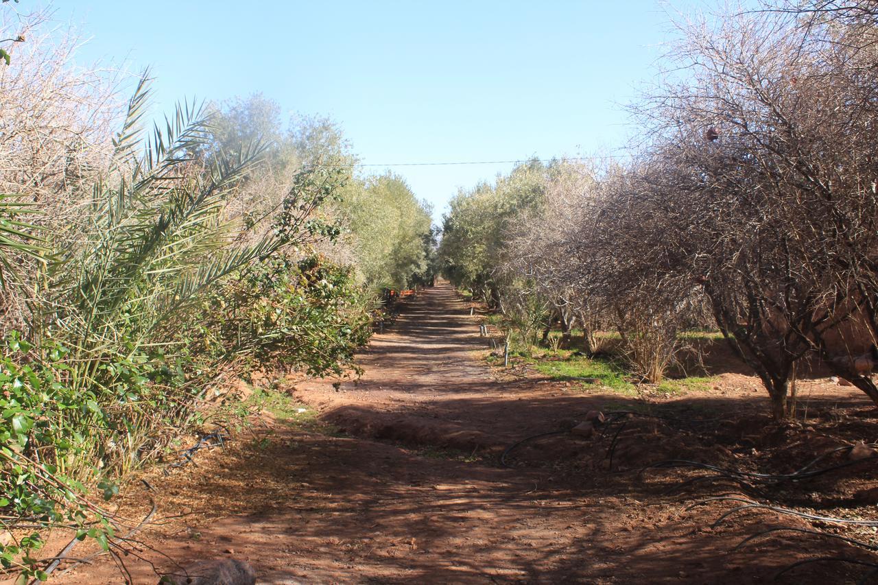 Dar Alfourssane Ferme D'Hote Ouarzazate Esterno foto